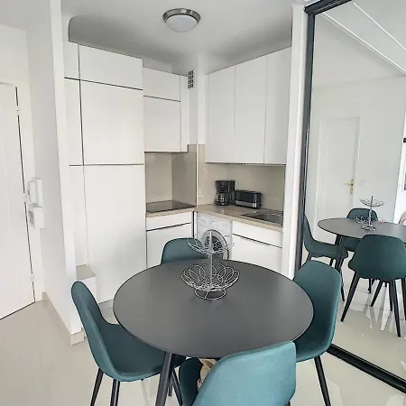 Apartment Studio Renove Sur Croisette Avec Terrasse, Clim Et Wi-fi - Fr-1-470-50